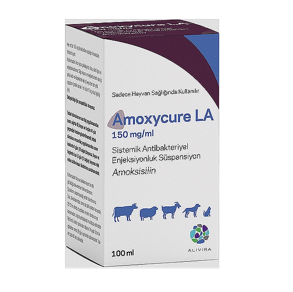 AMOXYCURE LA Amoxicillin Injection Long Acting