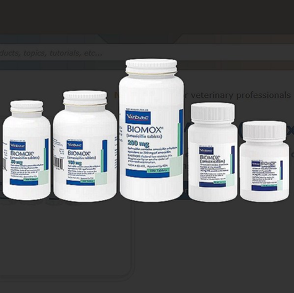 BIOMOX Amoxicillin Tablets