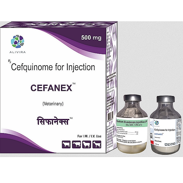 CEFANEX Cefquinome Injection