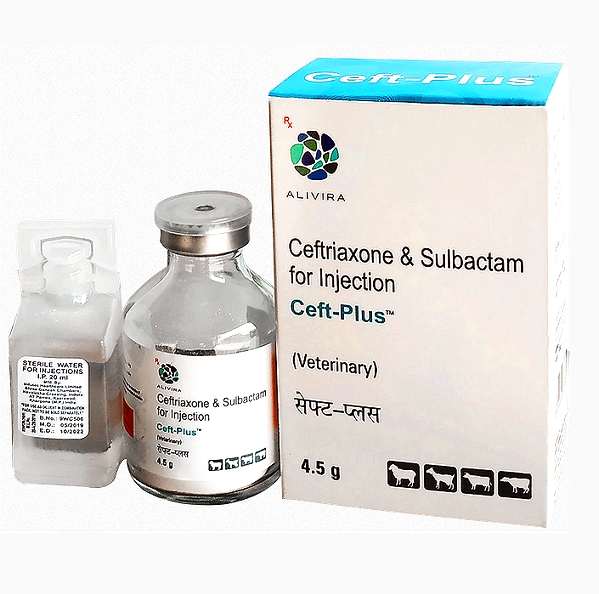 CEFT-PLUS Ceftriaxone & Sulbactam Injection