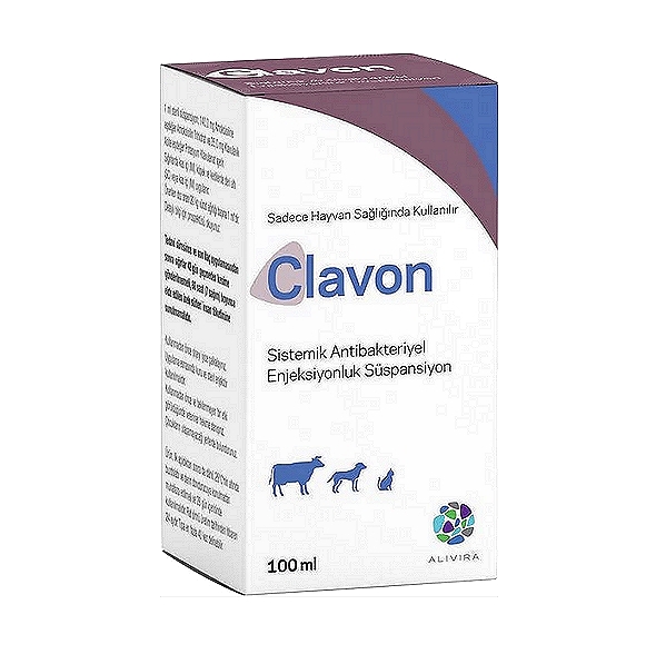 CLAVON Amoxicillin & Clavulanic acid Injection