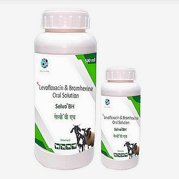 SELVO BH Levofloxacin & Bromhexine Oral Solution