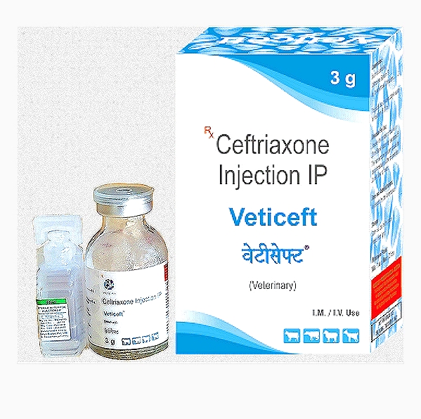 VETICEFT Ceftriaxone Injection